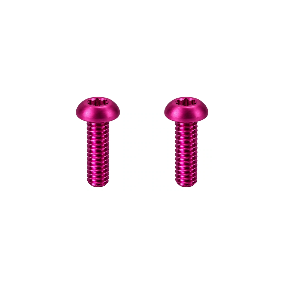 Titanium Trigo Bottle Holder Mount Screws — Magenta