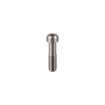 Titanium Avid Elixir Brake Lever Clamp Bolt — Raw Titanium