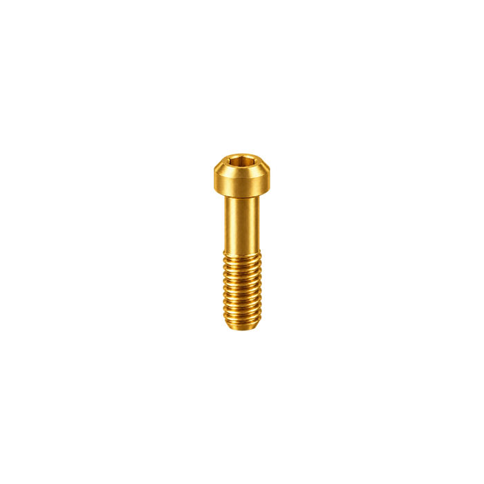 Titanium Avid Elixir Brake Lever Clamp Bolt