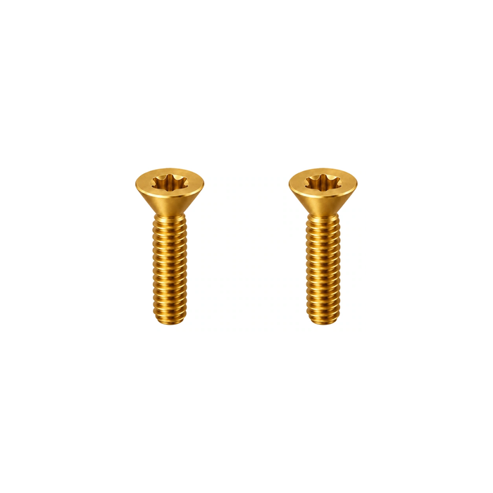 Titanium Birdy Front Suspension Bolts