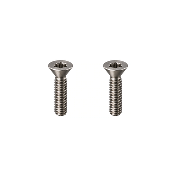 Titanium Birdy Front Suspension Bolts — Raw Titanium