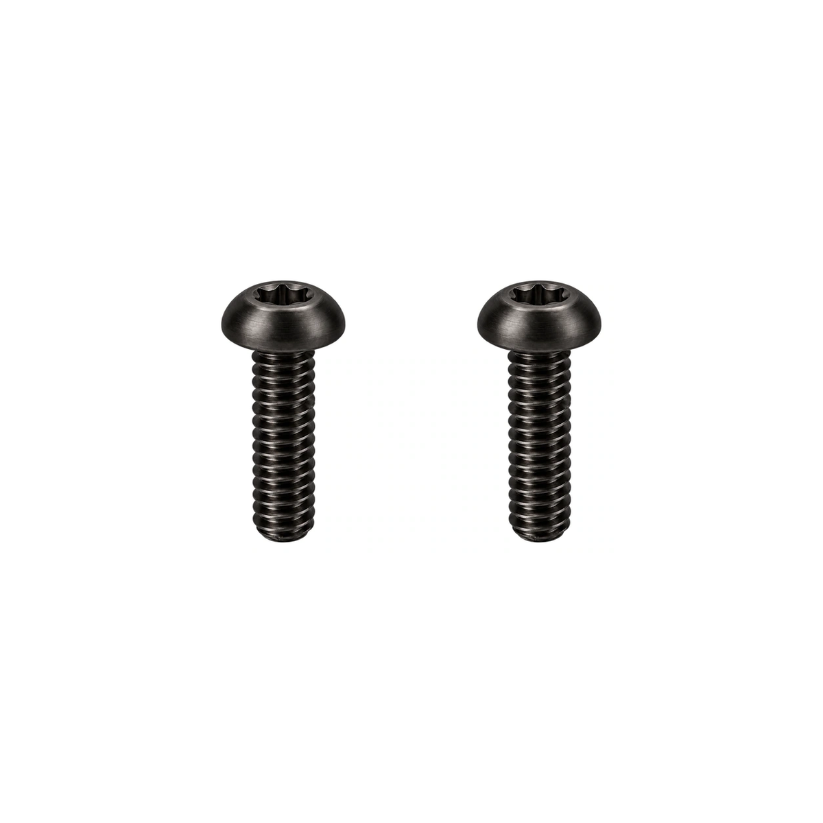 Titanium Santa Cruz Downtube Protector Bolts — Black