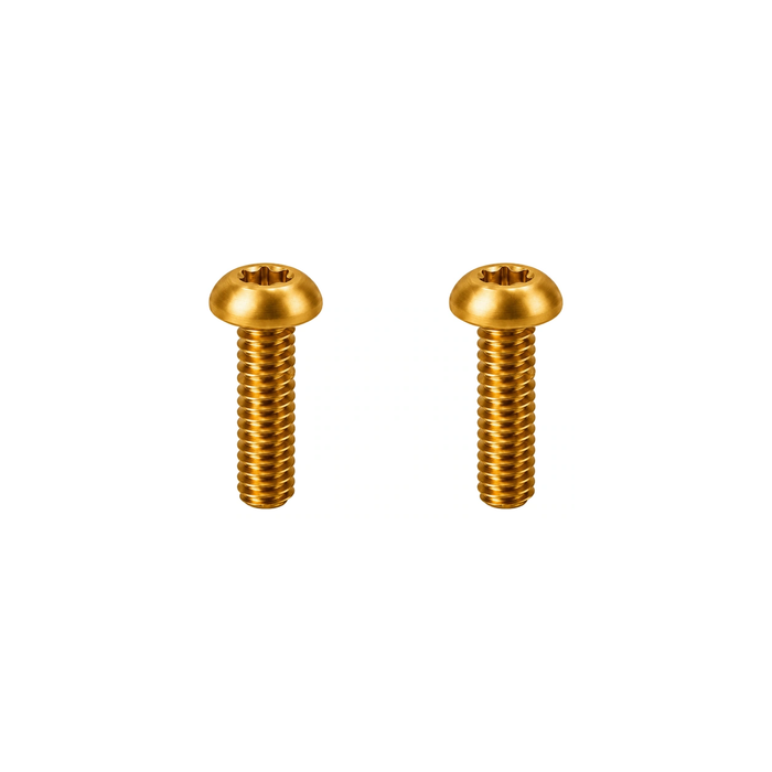 Titanium Santa Cruz Downtube Protector Bolts