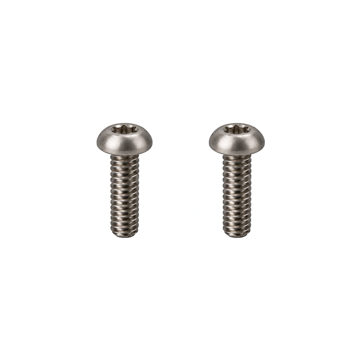 Titanium Santa Cruz Downtube Protector Bolts — Raw Titanium