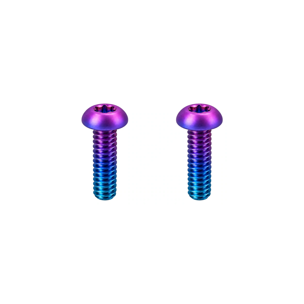 Titanium Santa Cruz Downtube Protector Bolts — Candy Matte