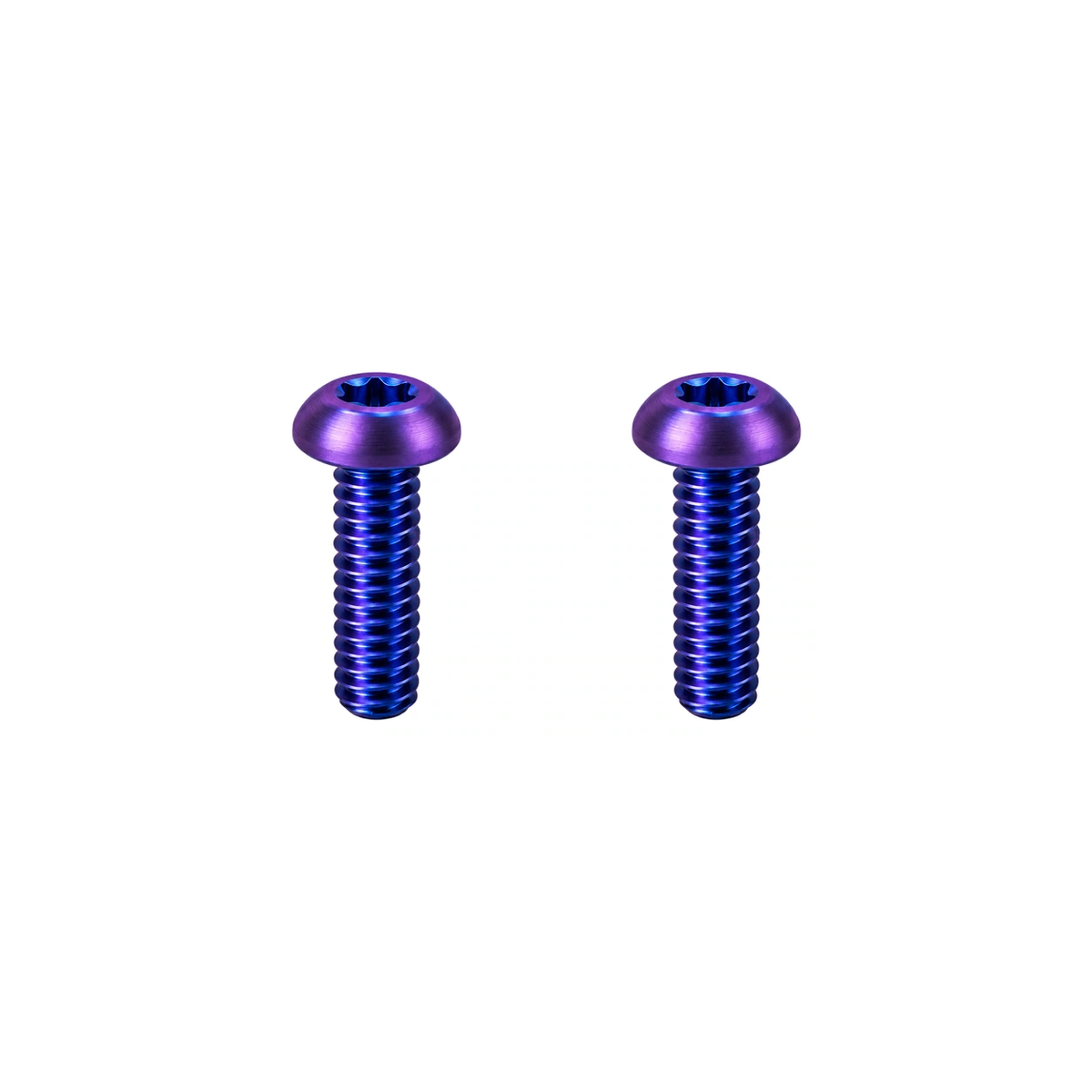 Titanium Santa Cruz Downtube Protector Bolts — Blue Purple