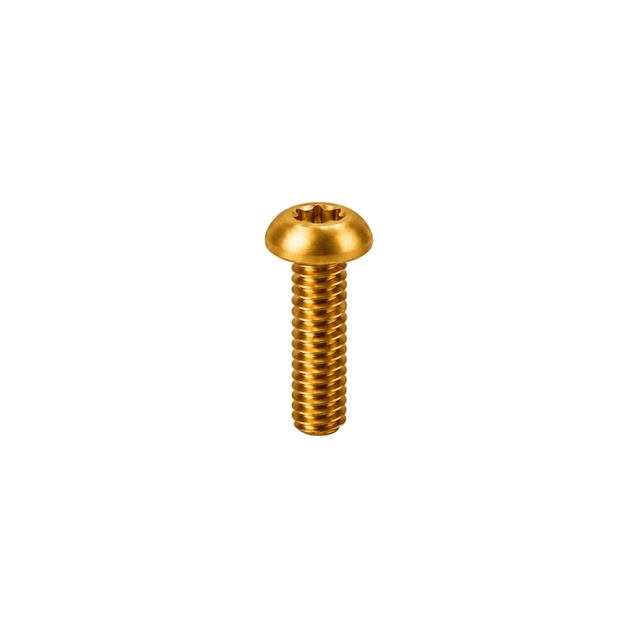 Titanium SRAM Brake Lever Pivot Bolt