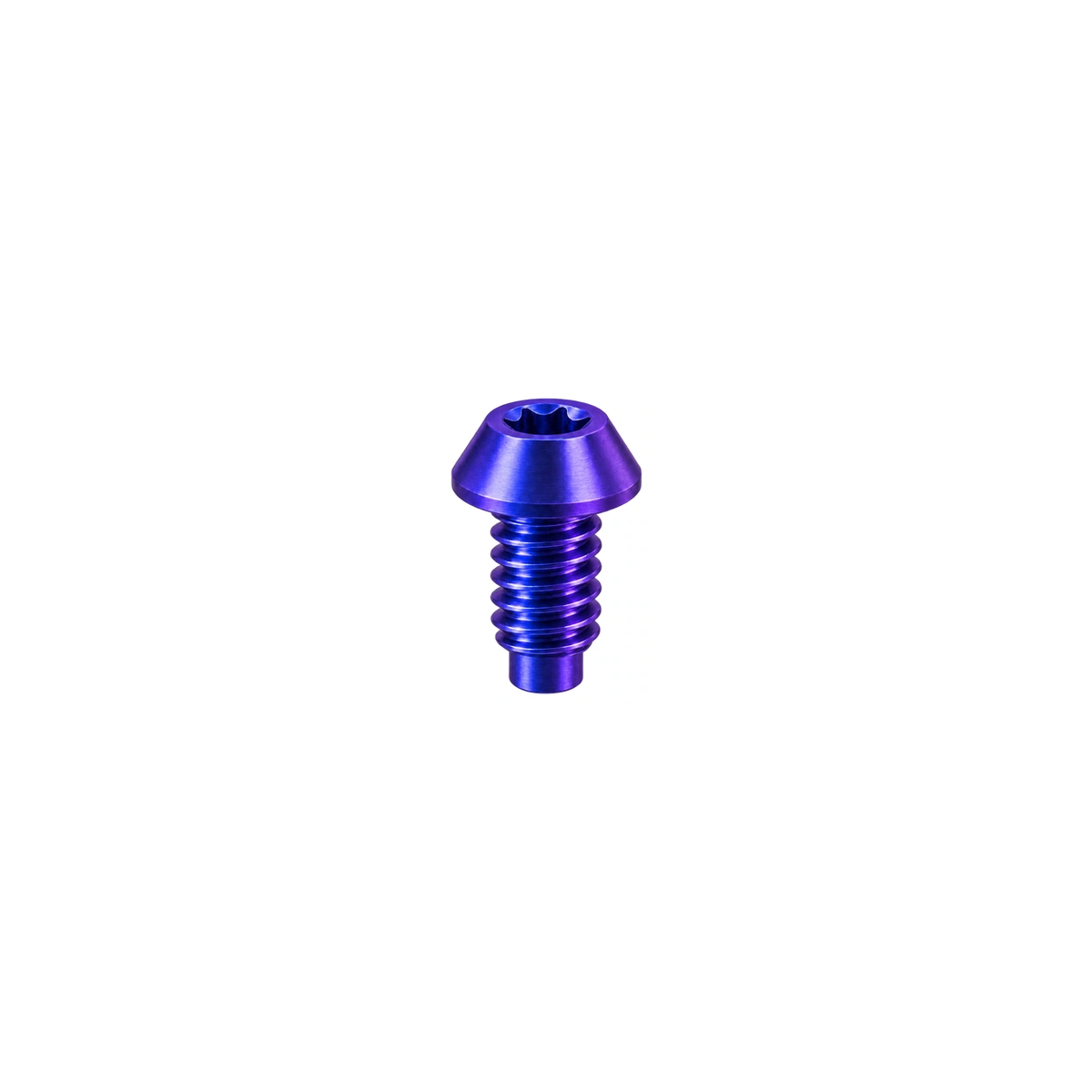 Titanium Magura Caliper Bleed Bolt — Blue Purple