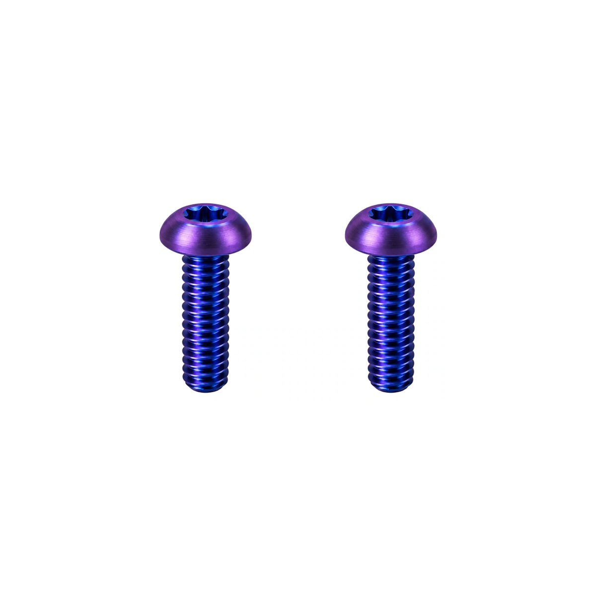 Titanium Fox 36 / 38 Fender Mount Bolts — Blue Purple