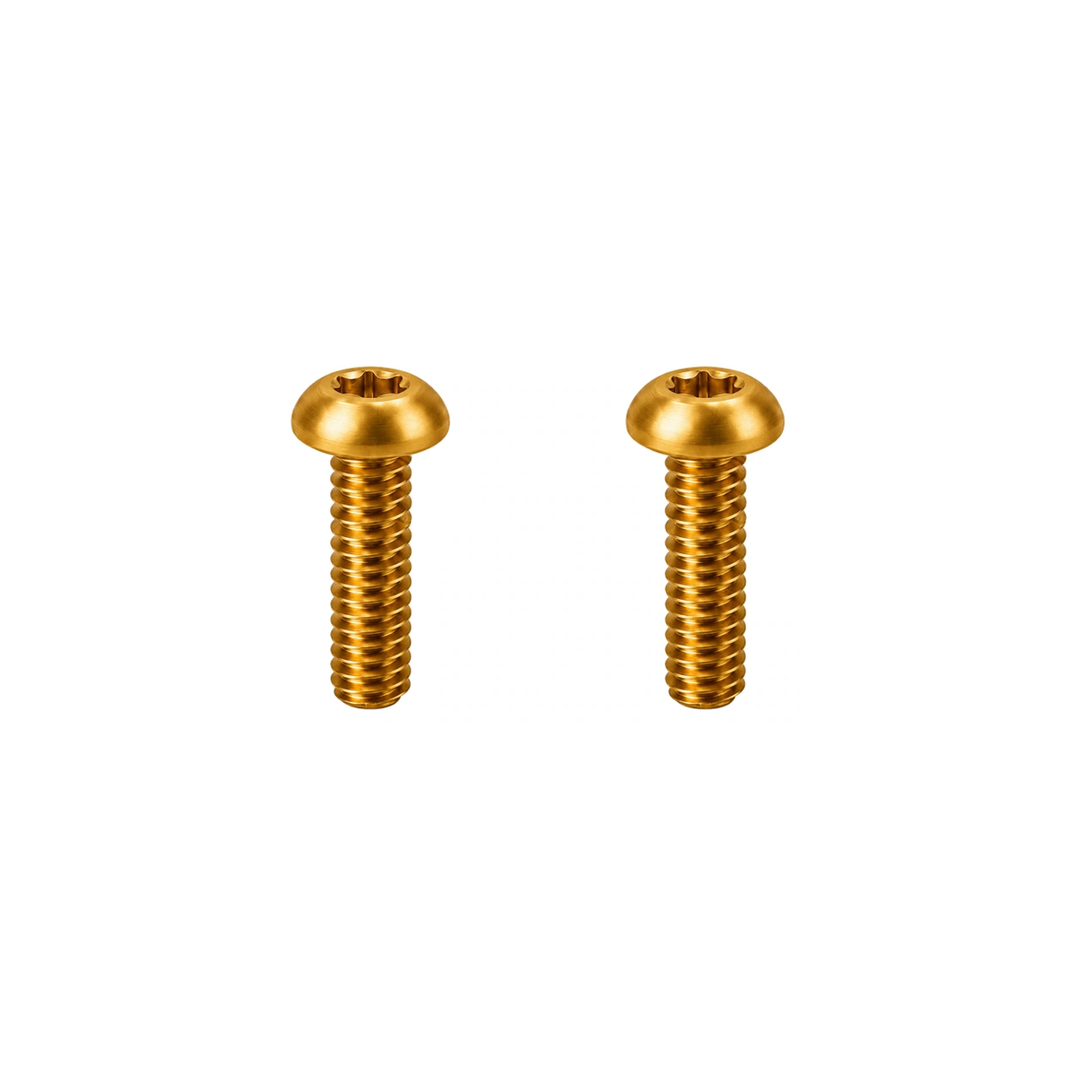 Titanium Fox 36 / 38 Fender Mount Bolts — Gold