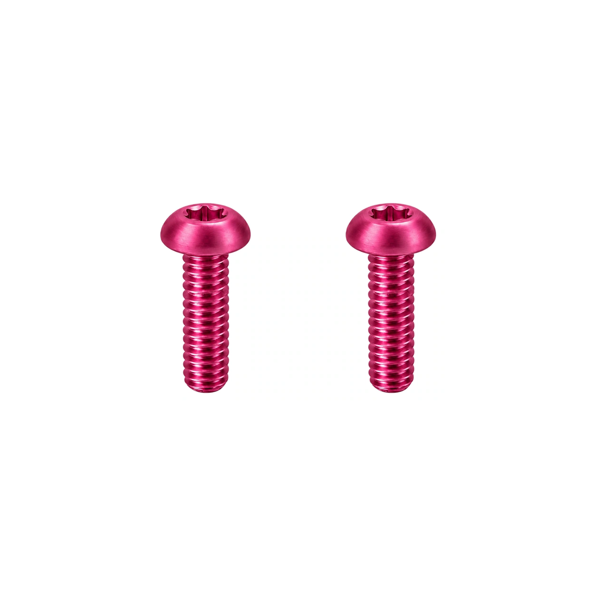Titanium Fox 36 / 38 Fender Mount Bolts — Champagne Pink