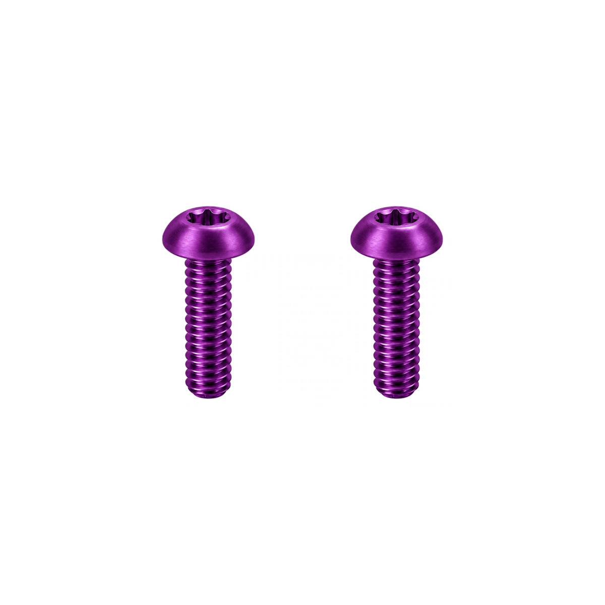 Titanium Fox 36 / 38 Fender Mount Bolts — Purple