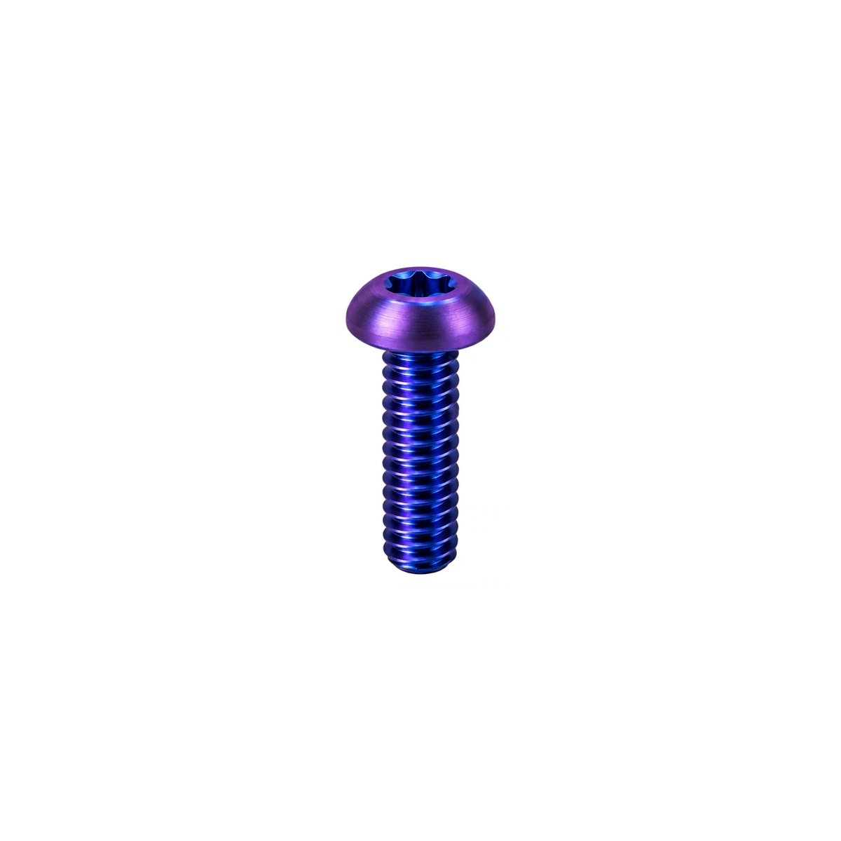 Titanium Specialized Computer Mount Securing Bolt — Blue Purple
